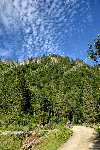 Tatry Slovakia Landscape Top View Mountains