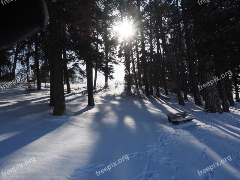 Snow Landscape Winter Sun Shadow Snow