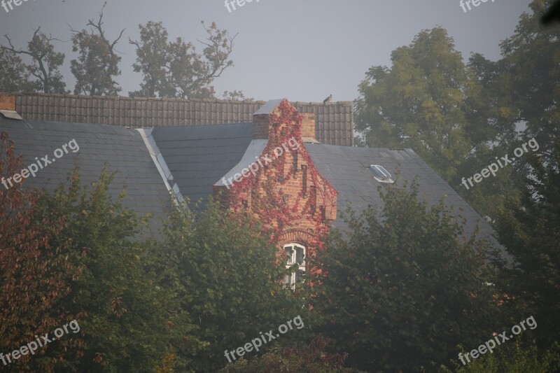 Fog Autumn House Vine Fall Foliage