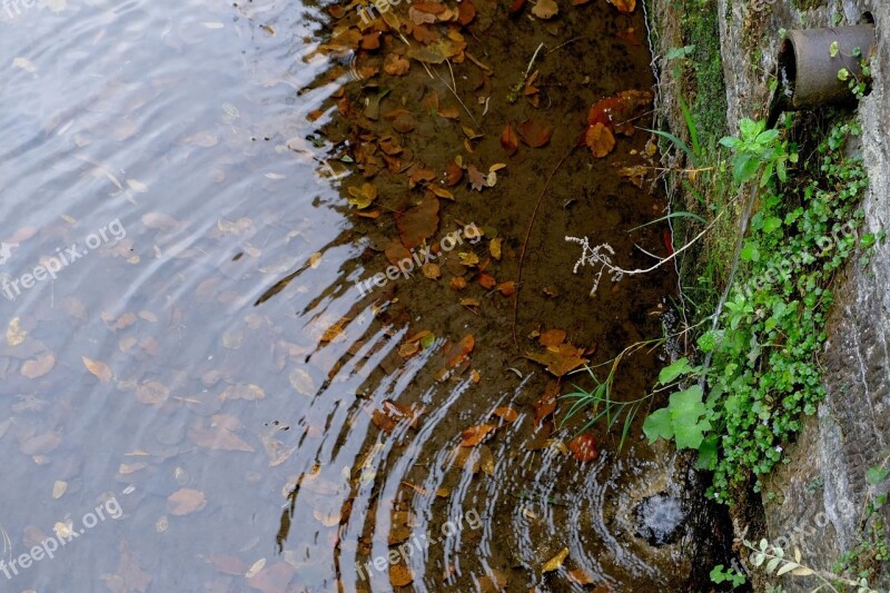 Bach Watercourse Wall Historic Center Freiburg