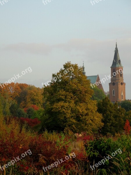 Olkusz Poland Landscape Tree Evening