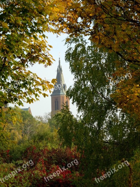 Olkusz Poland Tree Foliage Autumn