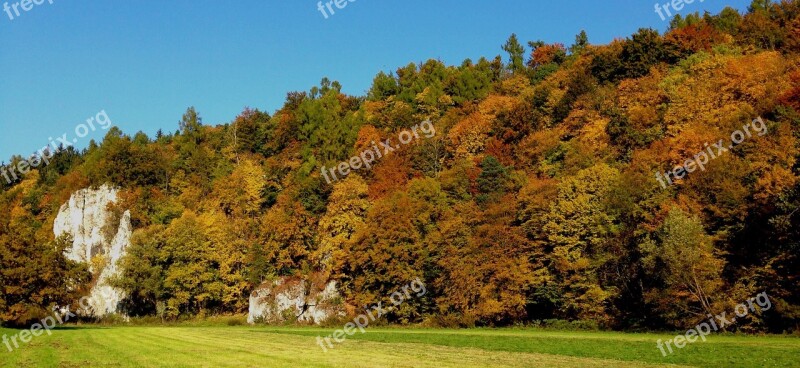 Autumn Landscape Tree Nature Forest