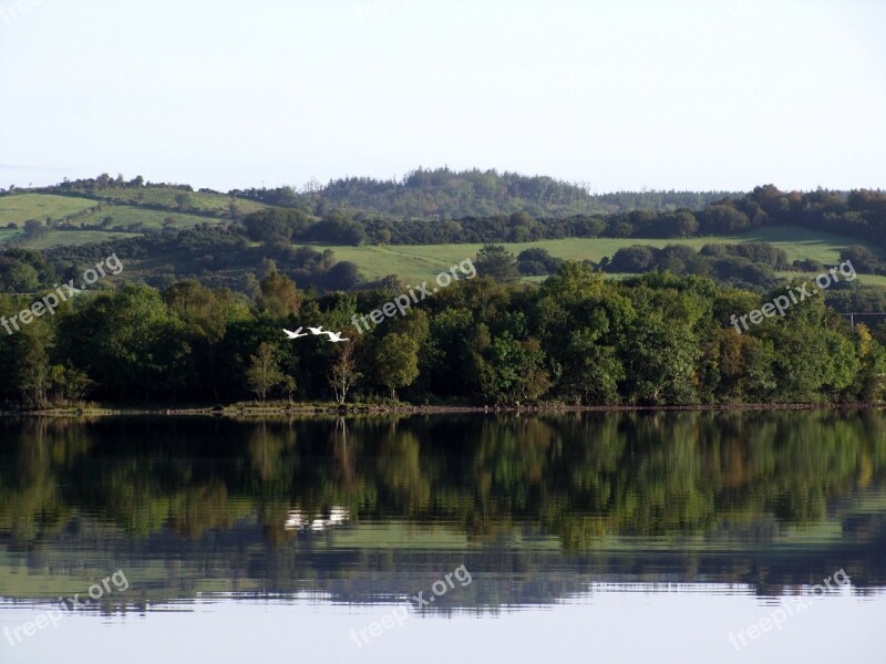 Ireland Lake Wildlife Birds Sky