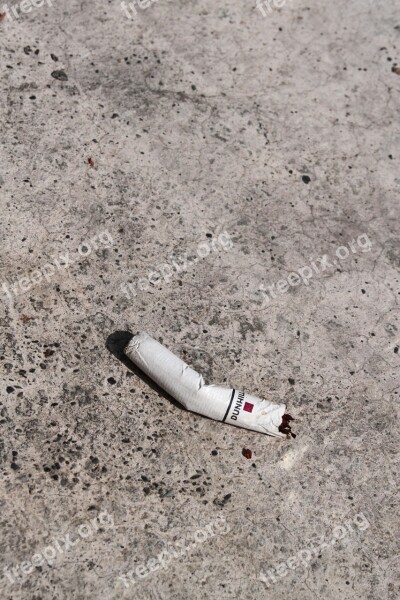 Cigarette Butts Concrete Floor Litter Anywhere Free Photos