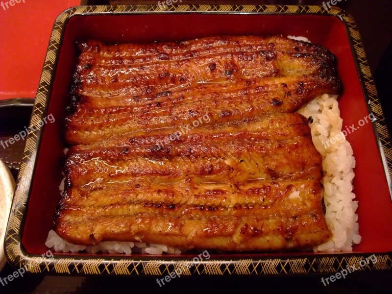 Eel Japanese Food Food Free Photos