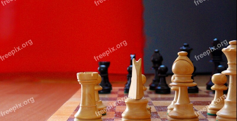 Win Hobby Wood Wooden Figures Chess