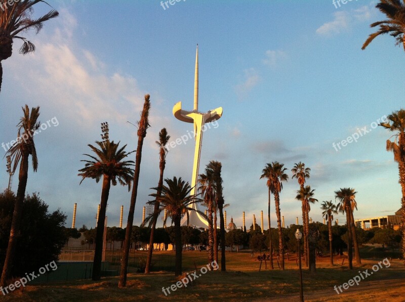 Palau Sant Jordi Palm Tree Montjuic Mountain Barcelona