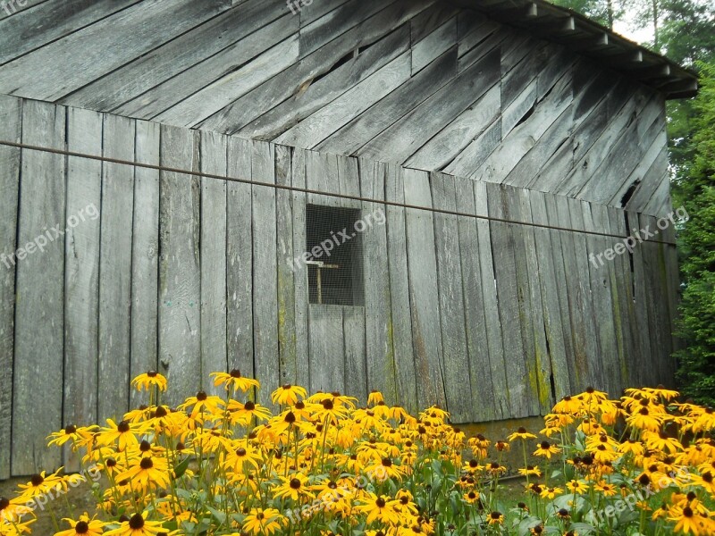 Barn Flowers Country Bunch Autumn