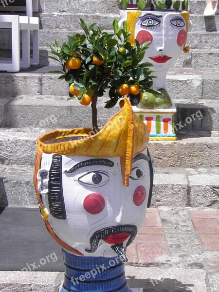 Orange Citrus Flower Pot Sicily Ornamental