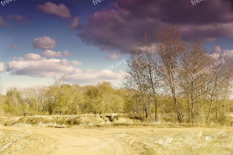 Cloud Tree Weather Clouds Trees