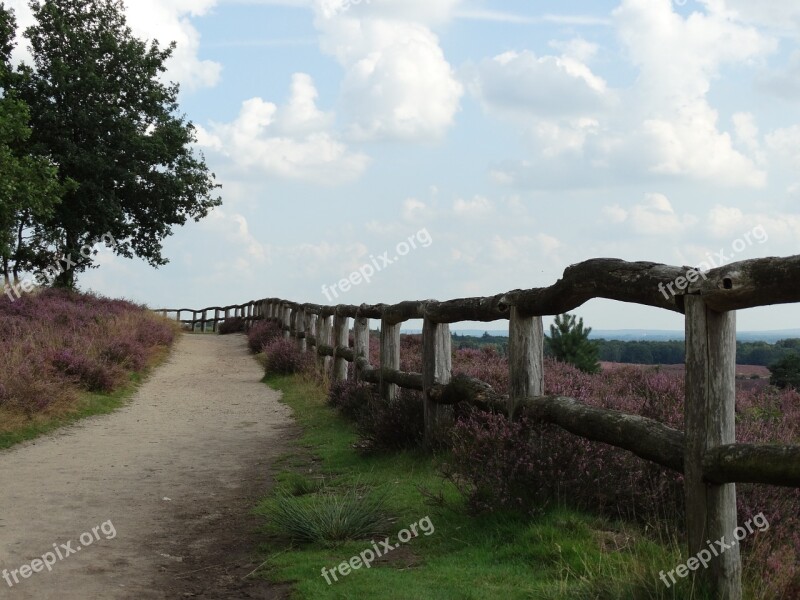 Hei Heide Flowering Heather Fence Landscape