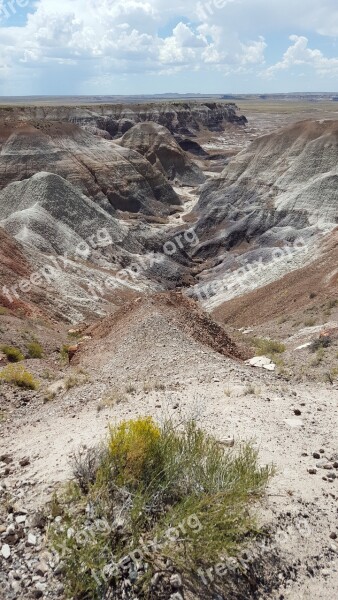 Painted Desert Desert Arizona Desert Nature Arizona