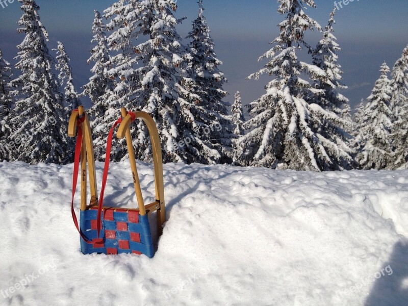 Winter Toboggan Snow White Outdoors Tobogganing