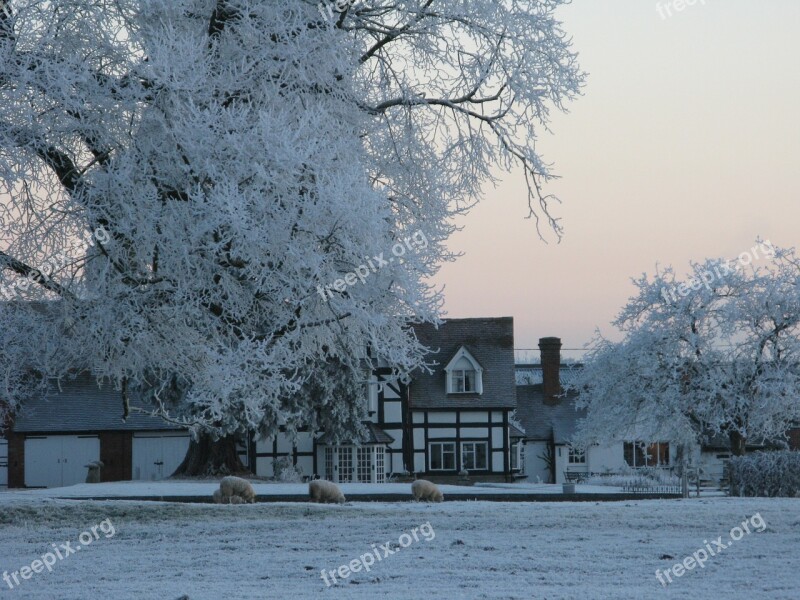 Countryside English House Claverdon Historic Tree