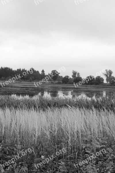 Rodder Maar Maar Brohltal Vulkaneifel Autumn