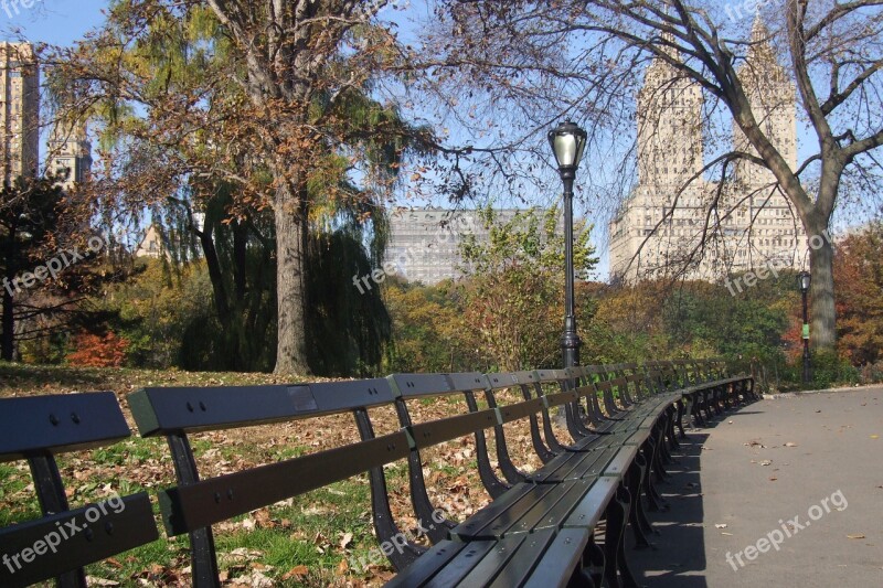 Newyork City Garden Winter Street