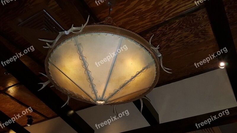 Chandelier The Horn Of Africa Skin Indesky Lamp