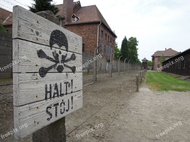 Massacre Auschwitcz Birkenau Jewish Death