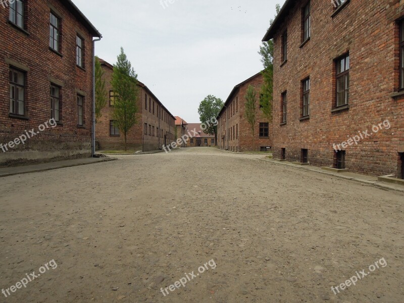 Massacre Auschwitcz Birkenau Jewish Death