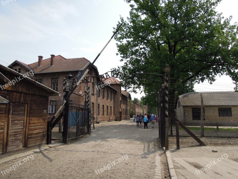 Auschwitz Polish Birkenau Tree Port