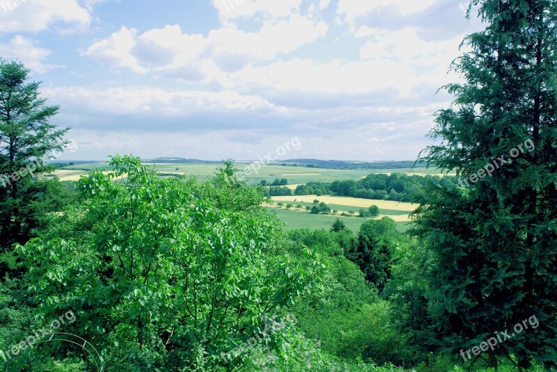 Landscape Eifel Nature Trees Green