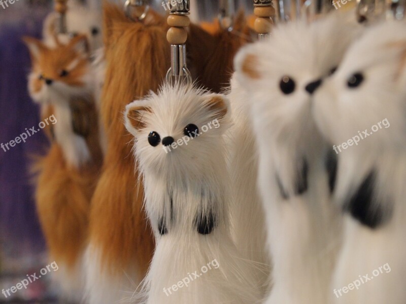 Souvenir Shop Key Ring Animal Cute Animals