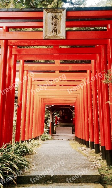 Japan Torii Inari Religion Faith