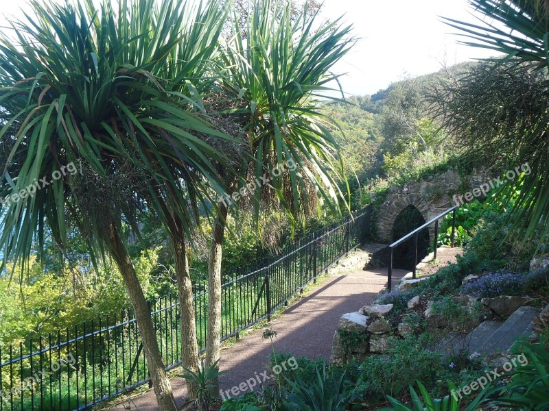 Babbacombe Devon Archway Walkway Palmtrees