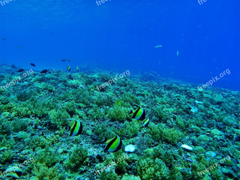 Indonesia Travel Vacations Sea Water