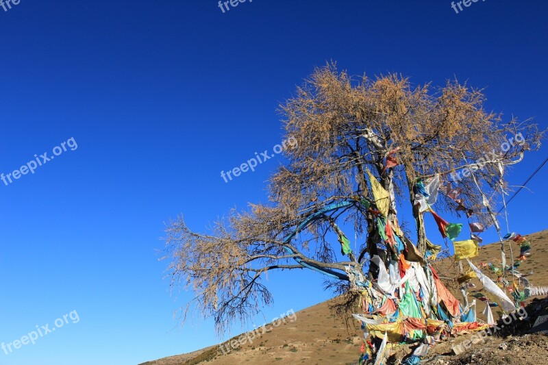 Prayer Flags Tree In Tibetan Areas Free Photos