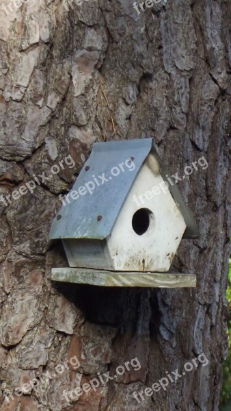 Birdhouse Bird Nature House Tree