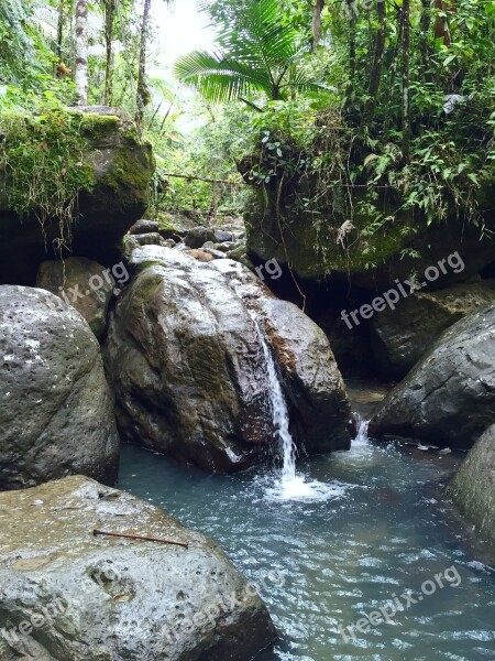 Water Waterfall Landscape Water Background Stream