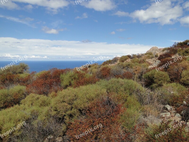 Corsica Macchia Horizon Free Photos