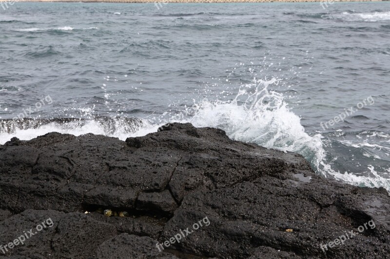 Waves Coastal Jeju Island Blue Nature