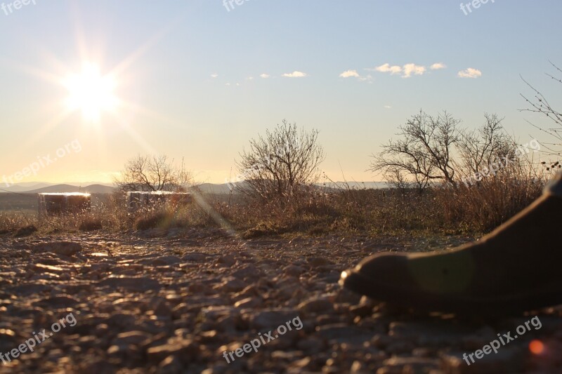 Sunset Nature Winter Landscape Frozen December