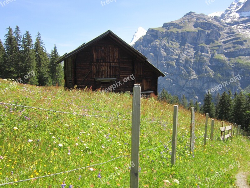 Alps Lodge Path Alpine Hiking