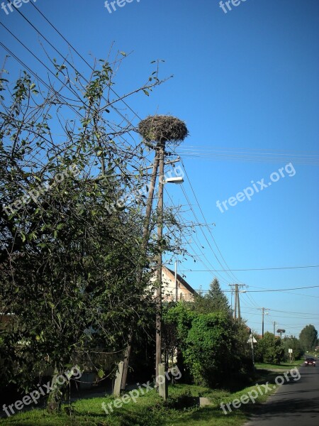 Stork Stork Nest Nest Countryside Road