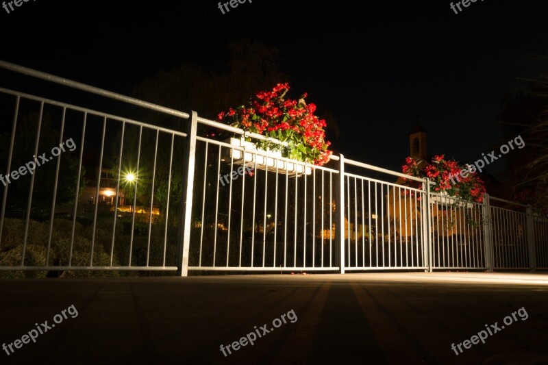 Flowers Night Photograph Railing Night Away