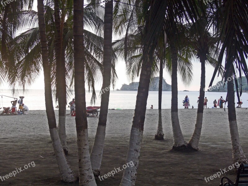 San Andres Colombia Beach Sea Palms