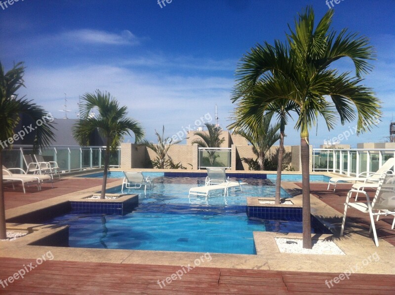 J3 Apartment Hotel Pool Palm Tree