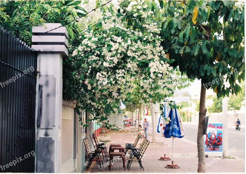 Street Life Vietnam Coffee Shop Street Spring