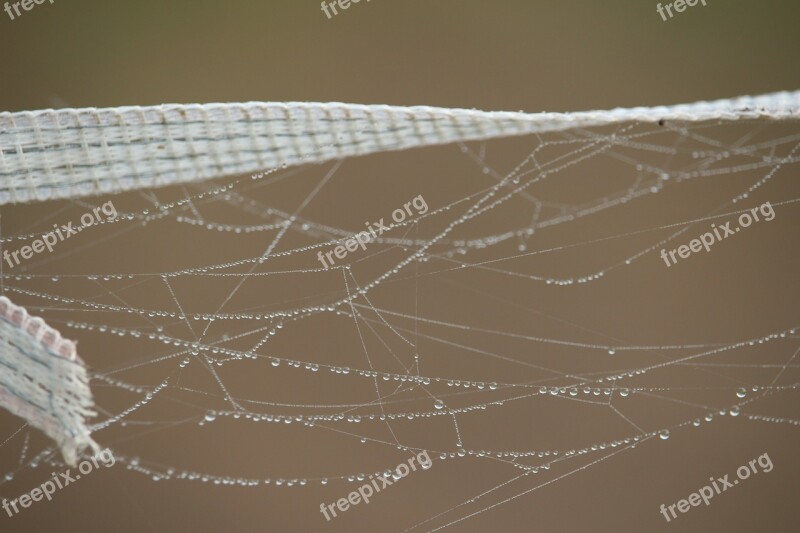 Autumn Spider Webs Fog Dew Dewdrop