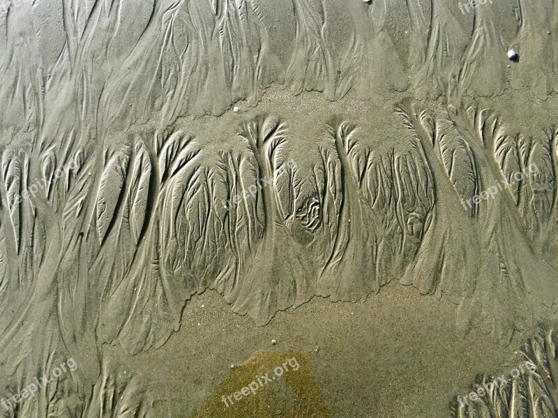 Beach Sand Wadden Sea North Sea Baltrum