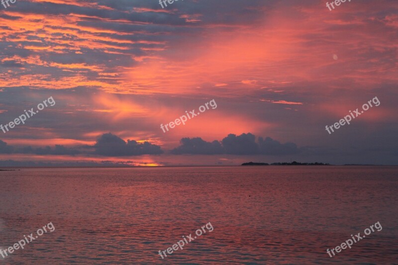 Sunset Palm Trees Evening Sky Afterglow Mood