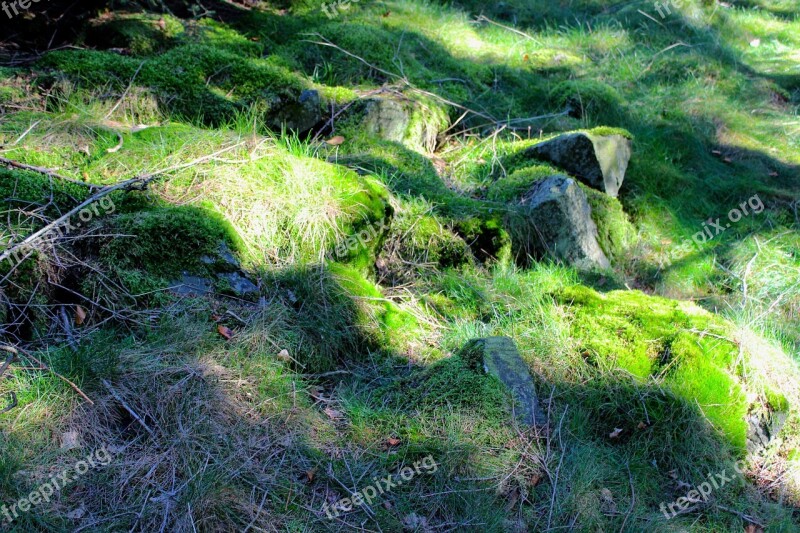 Moss Stones Forest Weave Green