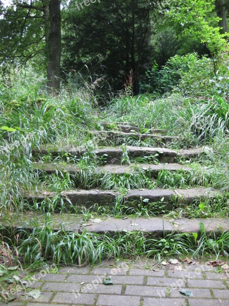 Stairs Forest Nature Stone Stairway Forest Path