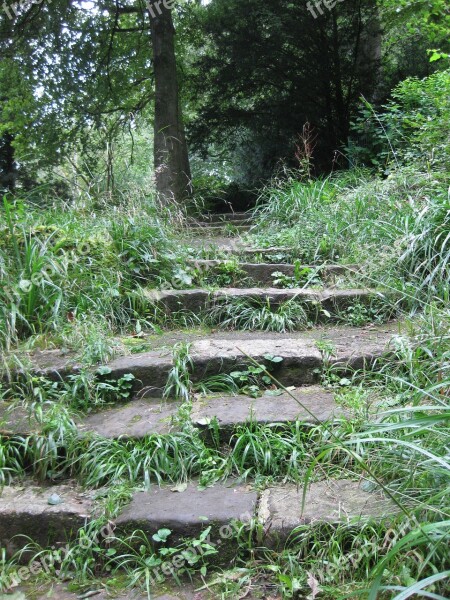 Stairs Forest Nature Stone Stairway Forest Path