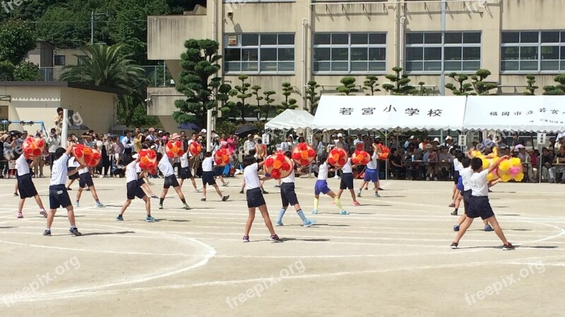 Spring Sports Day Festival Apartment Japan Free Photos