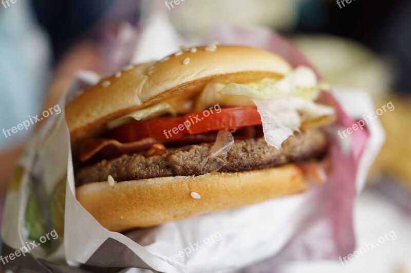 Burger Delicious Food Lunch A Light Lunch Food Photography